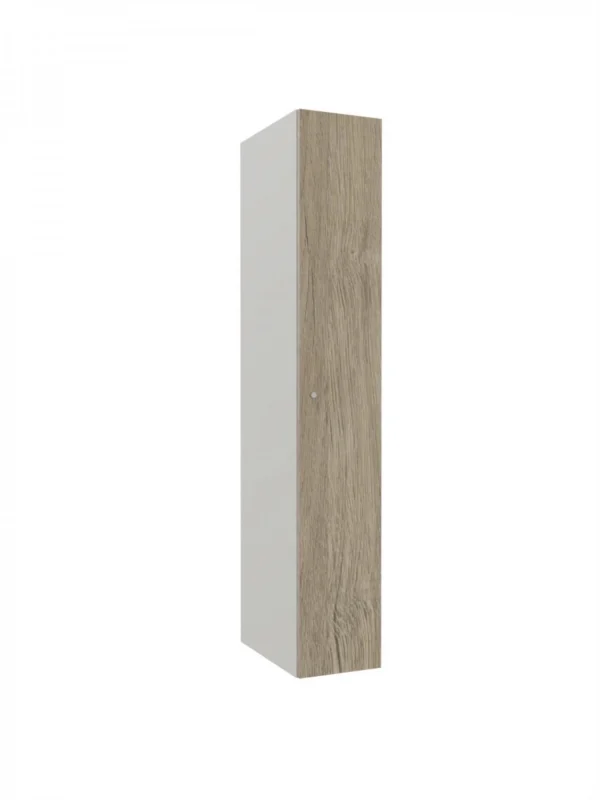 Metallschrank mit LPW – Combo