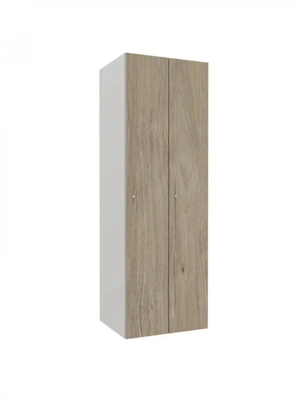 Metallschrank mit LPW – Combo