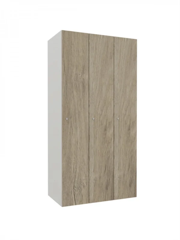 Metallschrank mit LPW – Combo