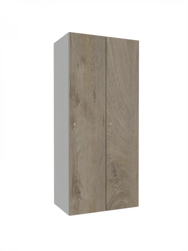 Metallschrank mit LPW – Combo